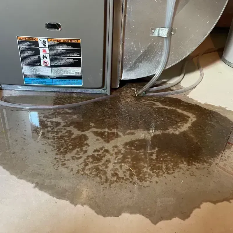 Appliance Leak Cleanup in Beardstown, IL